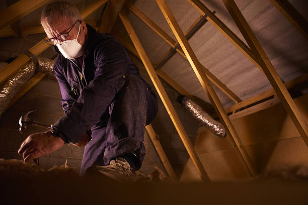 Best Insulation Maintenance and Repair in Craigsville, WV